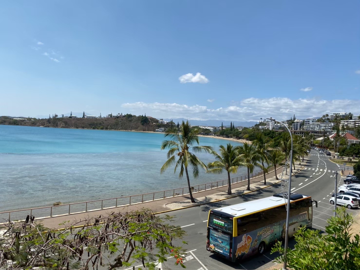 ニューカレドニアのバス事情 乗り方は 運賃は 運営会社が変更 まとめ 海外初心者でも安心の南の島ニューカレドニアの魅力